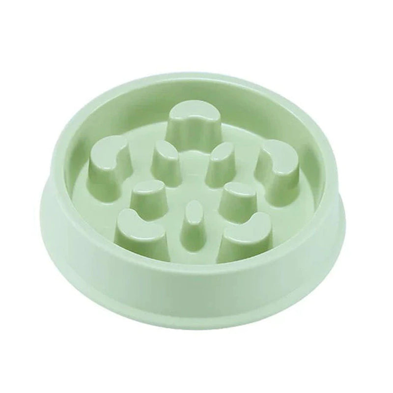 Pet Slow Feed Bowl for Small Dogs and Cats - Non-Slip, Choke-Proof Design