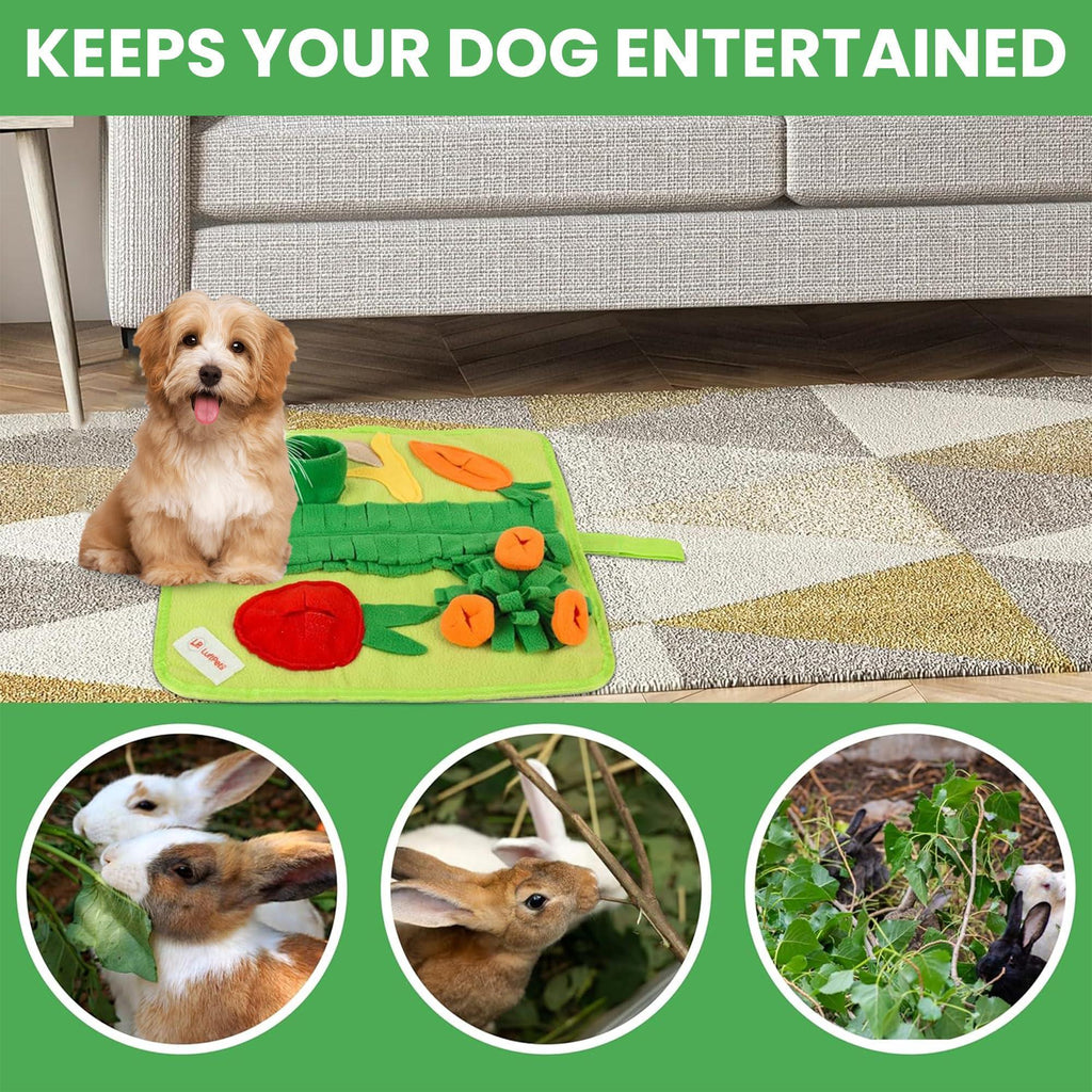 Premium Snuffle Mat for Small Dogs, Cats, and Small Pets