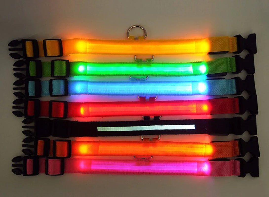 Adjustable LED Dog Collar with Blinking Light for Improved Pet Safety