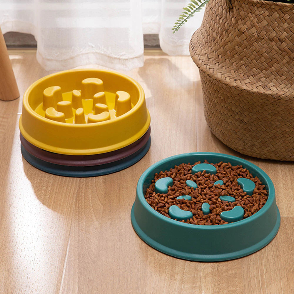 Pet Slow Feed Bowl for Small Dogs and Cats - Non-Slip, Choke-Proof Design