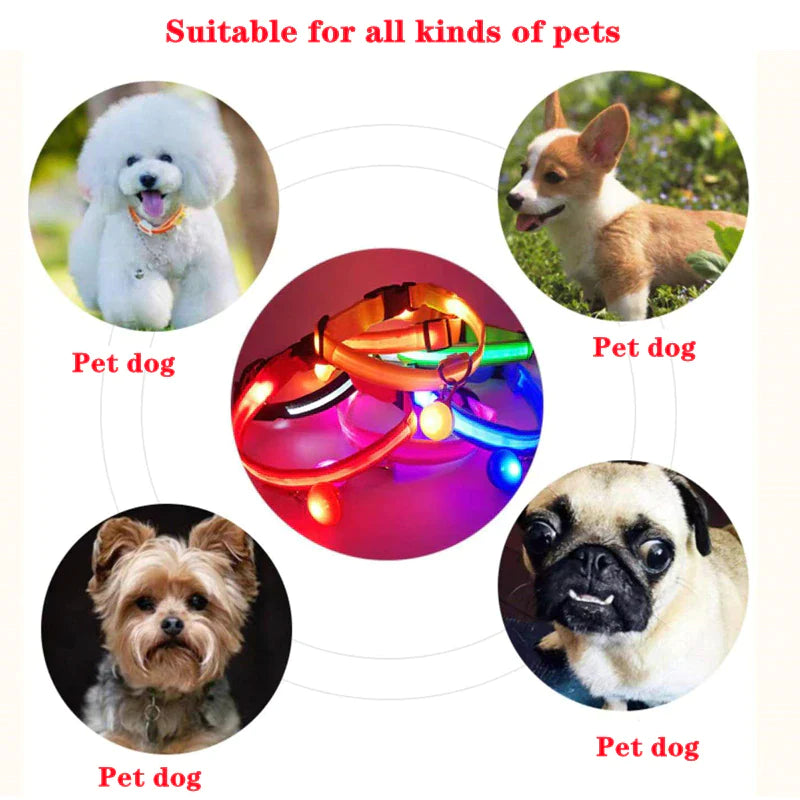 Adjustable LED Dog Collar with Blinking Light for Improved Pet Safety