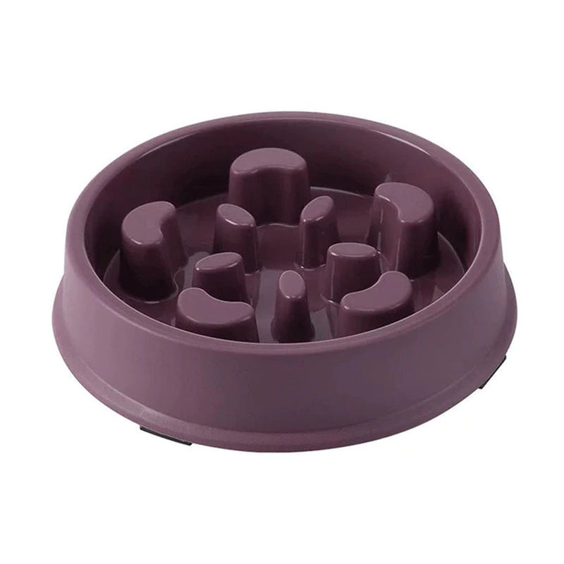 Pet Slow Feed Bowl for Small Dogs and Cats - Non-Slip, Choke-Proof Design