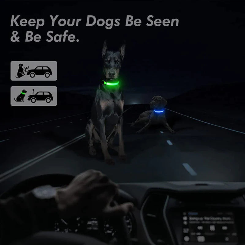 Adjustable LED Dog Collar with Blinking Light for Improved Pet Safety