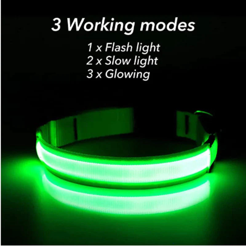 Adjustable LED Dog Collar with Blinking Light for Improved Pet Safety