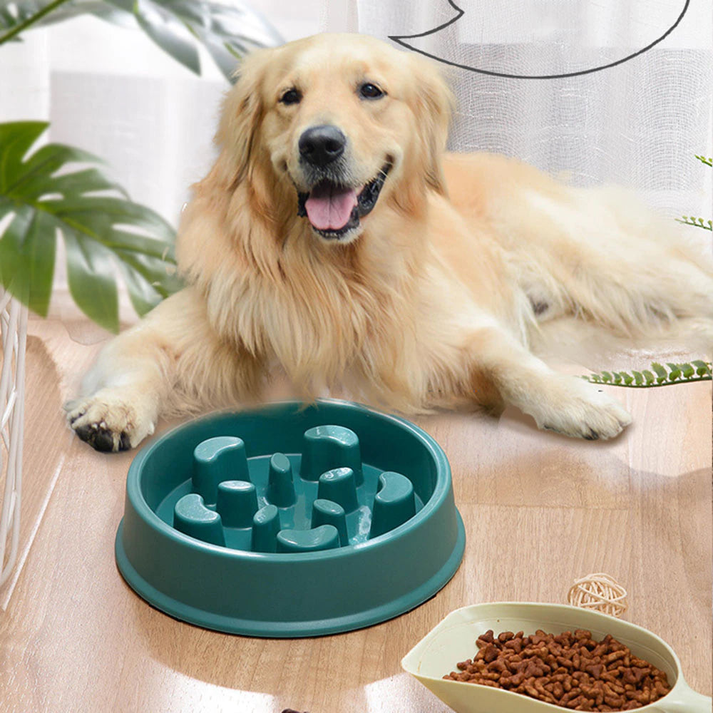 Pet Slow Feed Bowl for Small Dogs and Cats - Non-Slip, Choke-Proof Design