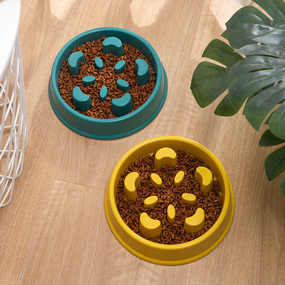 Pet Slow Feed Bowl for Small Dogs and Cats - Non-Slip, Choke-Proof Design