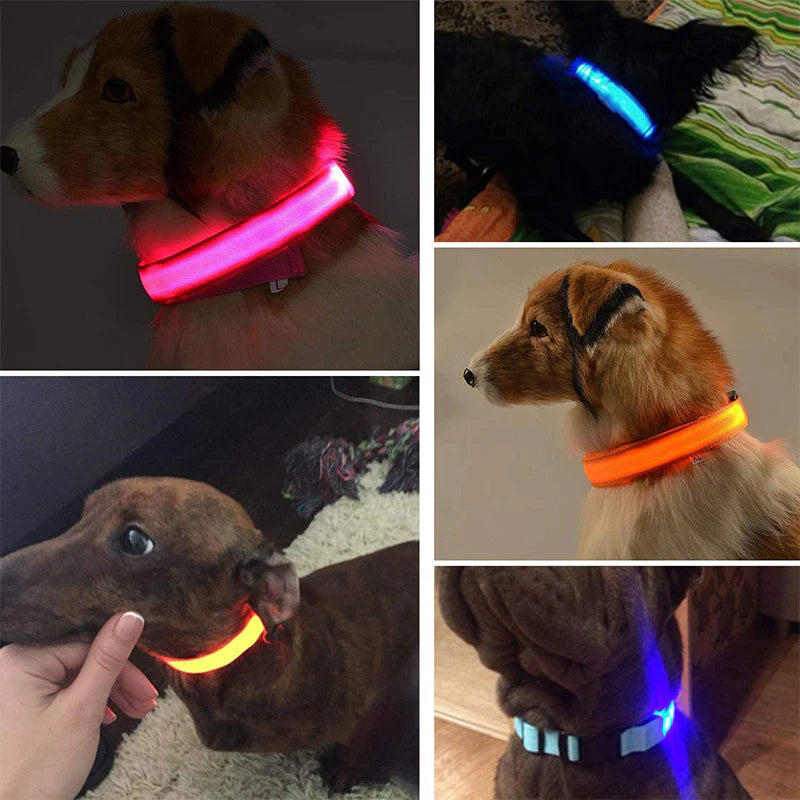 Adjustable LED Dog Collar with Blinking Light for Improved Pet Safety