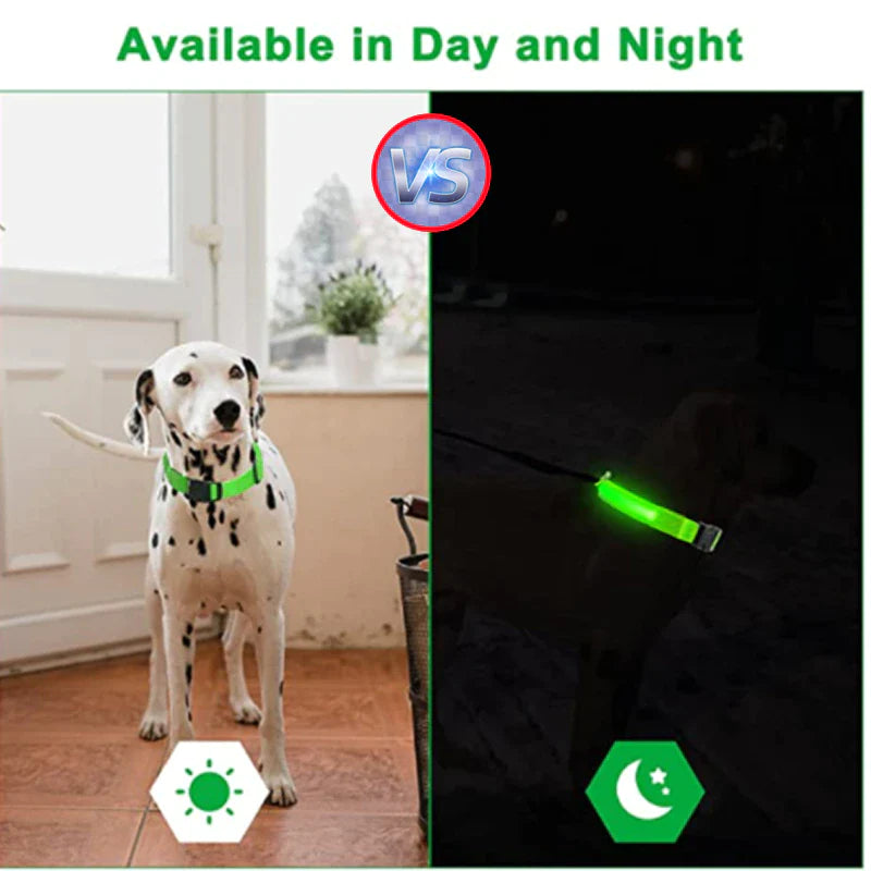 Adjustable LED Dog Collar with Blinking Light for Improved Pet Safety