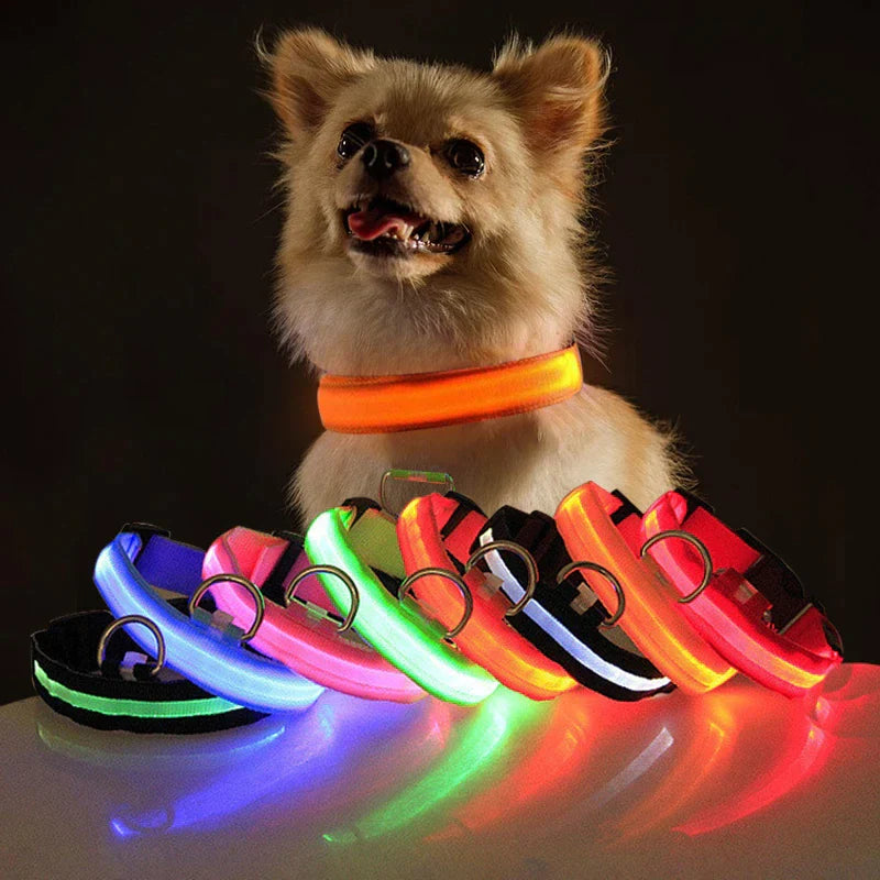 Adjustable LED Dog Collar with Blinking Light for Improved Pet Safety