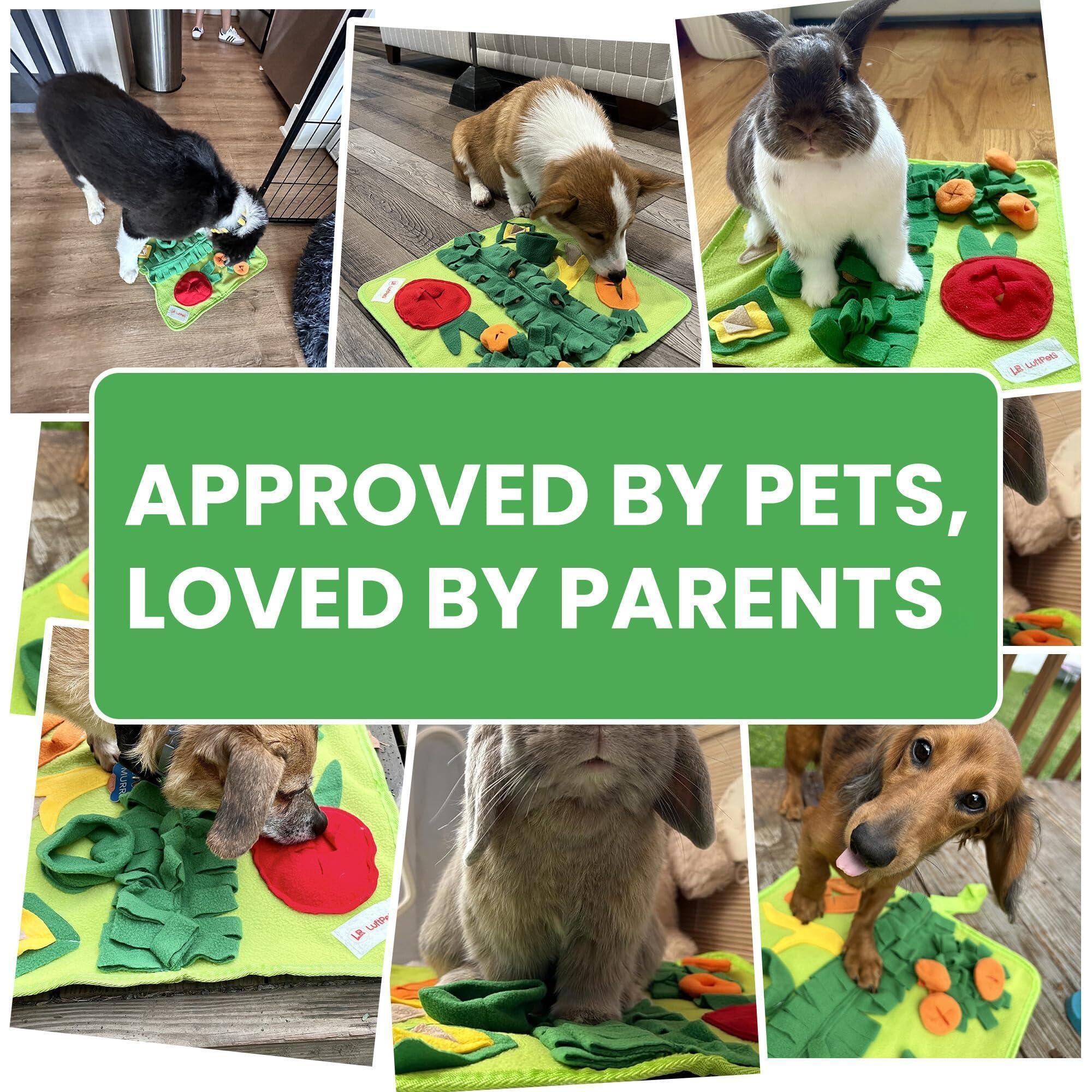Premium Snuffle Mat for Small Dogs, Cats, and Small Pets